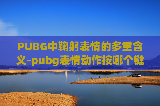 PUBG中鞠躬表情的多重含义-pubg表情动作按哪个键