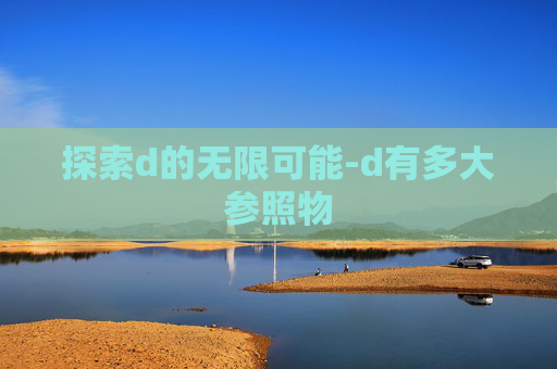 探索d的无限可能-d有多大参照物