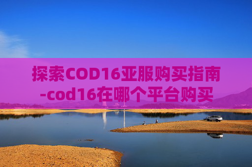 探索COD16亚服购买指南-cod16在哪个平台购买