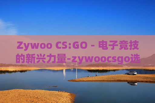 Zywoo CS:GO - 电子竞技的新兴力量-zywoocsgo选手百度百科
