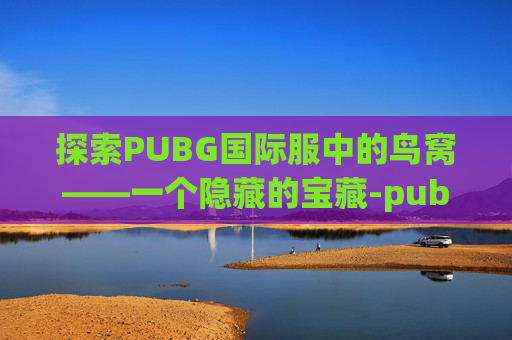 探索PUBG国际服中的鸟窝——一个隐藏的宝藏-pubg国际服攻略大全