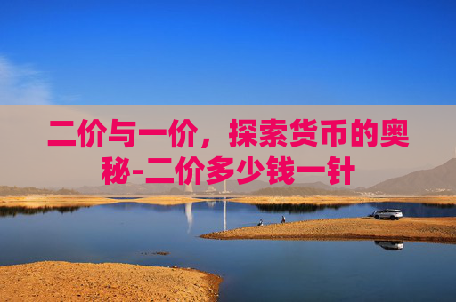 二价与一价，探索货币的奥秘-二价多少钱一针