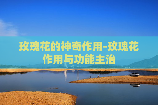 玫瑰花的神奇作用-玫瑰花作用与功能主治