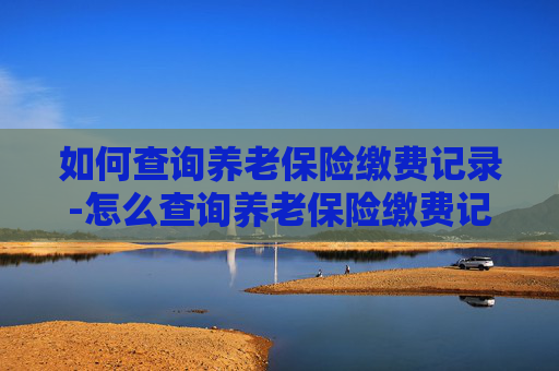 如何查询养老保险缴费记录-怎么查询养老保险缴费记录微信