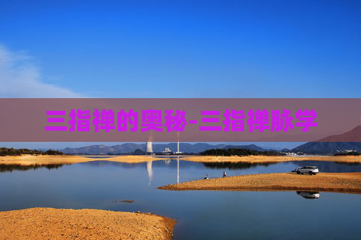 三指禅的奥秘-三指禅脉学