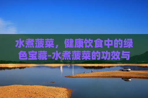 水煮菠菜，健康饮食中的绿色宝藏-水煮菠菜的功效与营养