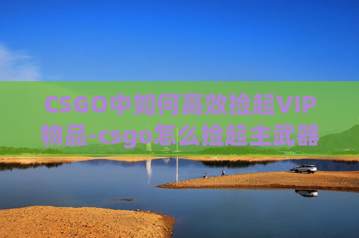 CSGO中如何高效捡起VIP物品-csgo怎么捡起主武器不切换