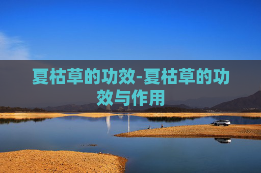 夏枯草的功效-夏枯草的功效与作用