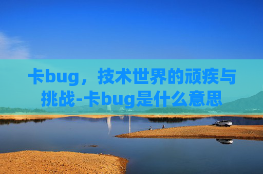 卡bug，技术世界的顽疾与挑战-卡bug是什么意思