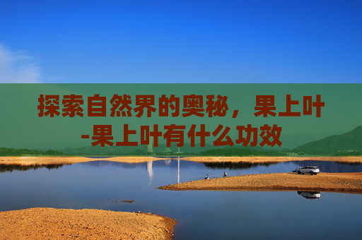 探索自然界的奥秘，果上叶-果上叶有什么功效