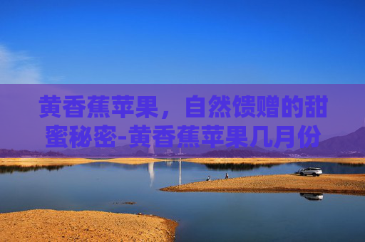 黄香蕉苹果，自然馈赠的甜蜜秘密-黄香蕉苹果几月份成熟