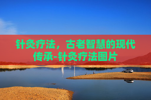 针灸疗法，古老智慧的现代传承-针灸疗法图片