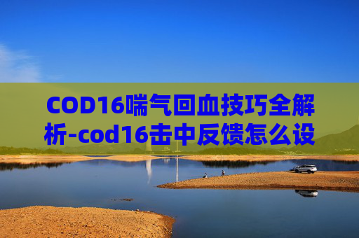 COD16喘气回血技巧全解析-cod16击中反馈怎么设置