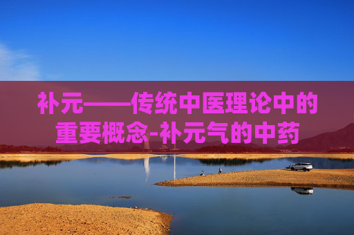 补元——传统中医理论中的重要概念-补元气的中药