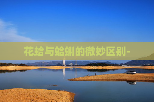 花蛤与蛤蜊的微妙区别-