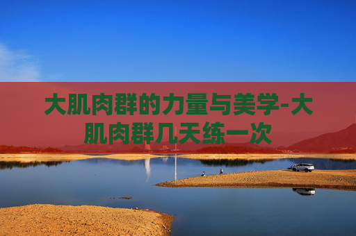 大肌肉群的力量与美学-大肌肉群几天练一次