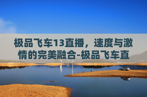 极品飞车13直播，速度与激情的完美融合-极品飞车直播间