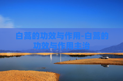 白蒿的功效与作用-白蒿的功效与作用主治