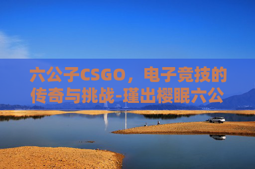 六公子CSGO,电子竞技的传奇与挑战-瑾出樱眠六公子 六公子CSGO,电子竞技的传奇与挑战-瑾出樱眠六公子