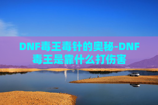DNF毒王毒针的奥秘-DNF毒王是靠什么打伤害