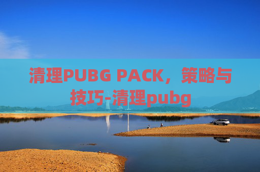 清理PUBG PACK，策略与技巧-清理pubg