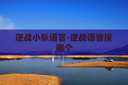 逆战小队语言-逆战语音按哪个