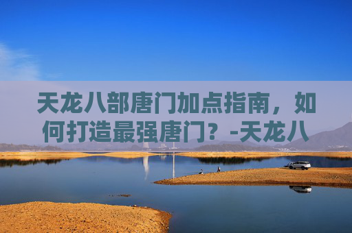 天龙八部唐门加点指南，如何打造最强唐门？-天龙八部唐门加点是体力还是身法