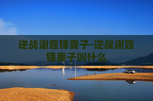 逆战谢霆锋妻子-逆战谢霆锋妻子叫什么