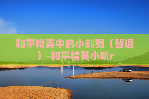 和平精英中的小刺猬（暂退）-和平精英小叽r