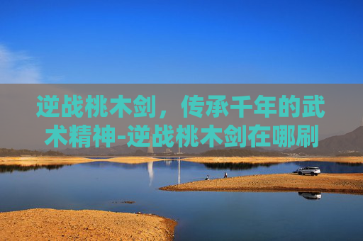 逆战桃木剑，传承千年的武术精神-逆战桃木剑在哪刷