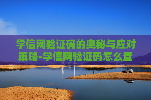 学信网验证码的奥秘与应对策略-学信网验证码怎么查询