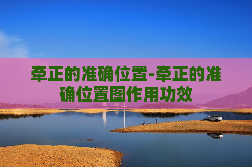 牵正的准确位置-牵正的准确位置图作用功效