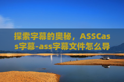 探索字幕的奥秘，ASSCass字幕-ass字幕文件怎么导入视频