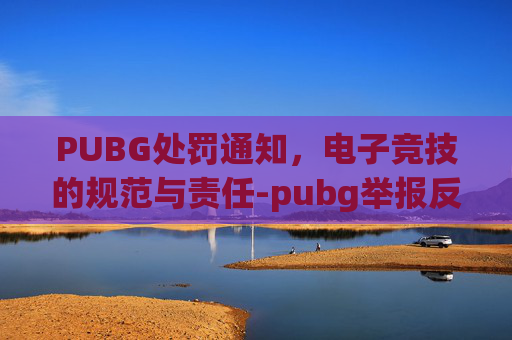 PUBG处罚通知，电子竞技的规范与责任-pubg举报反馈要多久