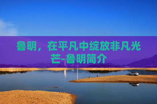 鲁明，在平凡中绽放非凡光芒-鲁明简介