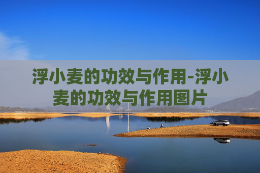 浮小麦的功效与作用-浮小麦的功效与作用图片
