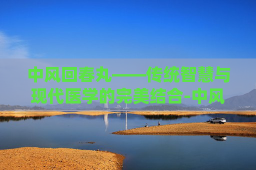 中风回春丸——传统智慧与现代医学的完美结合-中风回春丸功效作用