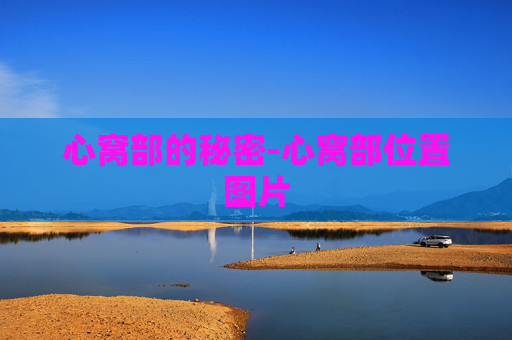 心窝部的秘密-心窝部位置图片
