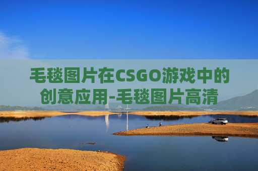 毛毯图片在CSGO游戏中的创意应用-毛毯图片高清