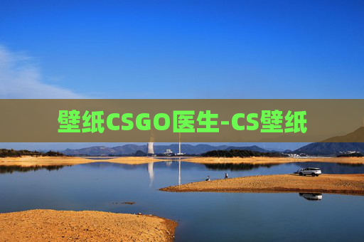 壁纸CSGO医生-CS壁纸