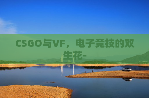 CSGO与VF，电子竞技的双生花-