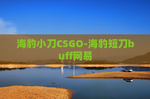 海豹小刀CSGO-海豹短刀buff网易
