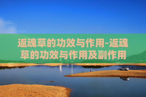 返魂草的功效与作用-返魂草的功效与作用及副作用