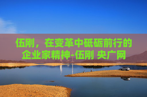 伍刚，在变革中砥砺前行的企业家精神-伍刚 央广网
