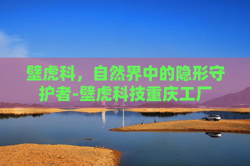 壁虎科，自然界中的隐形守护者-壁虎科技重庆工厂
