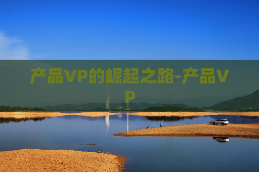 产品VP的崛起之路-产品VP