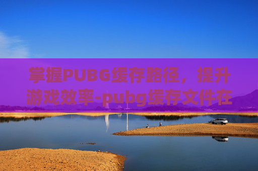 掌握PUBG缓存路径，提升游戏效率-pubg缓存文件在哪