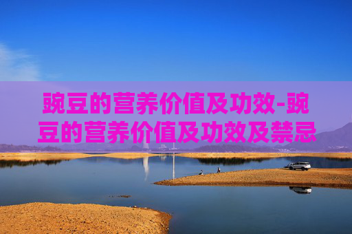 豌豆的营养价值及功效-豌豆的营养价值及功效及禁忌