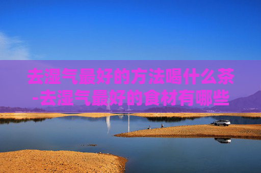 去湿气最好的方法喝什么茶-去湿气最好的食材有哪些