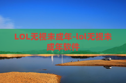 LOL无视未成年-lol无视未成年软件